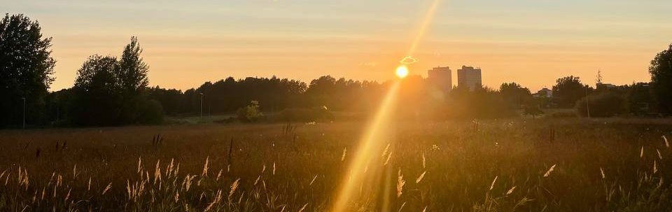 Kampus kasvuvyöhykkeenä