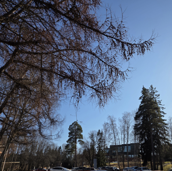 Kenttäkäynti ja ajatuksia Otakaarelle