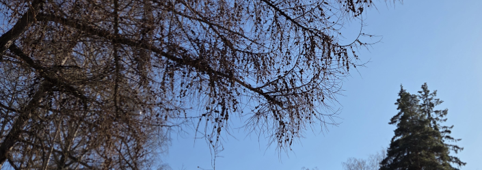 Kenttäkäynti ja ajatuksia Otakaarelle