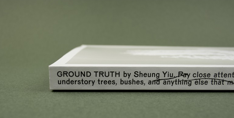 Image of the book by 'Ground Truth' by Sheung Yiu